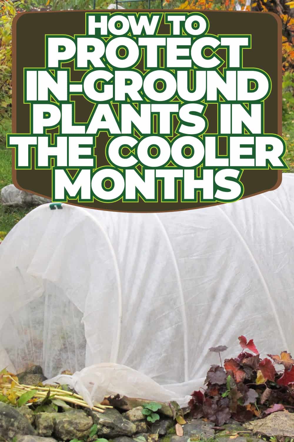 How To Protect In-Ground Plants In The Cooler Months