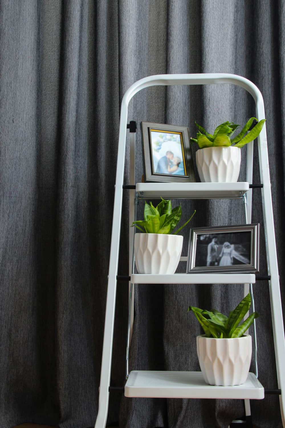 A decorative white ladder that is used as a shelf. White step ladder, home plants, and picture frames in the interior