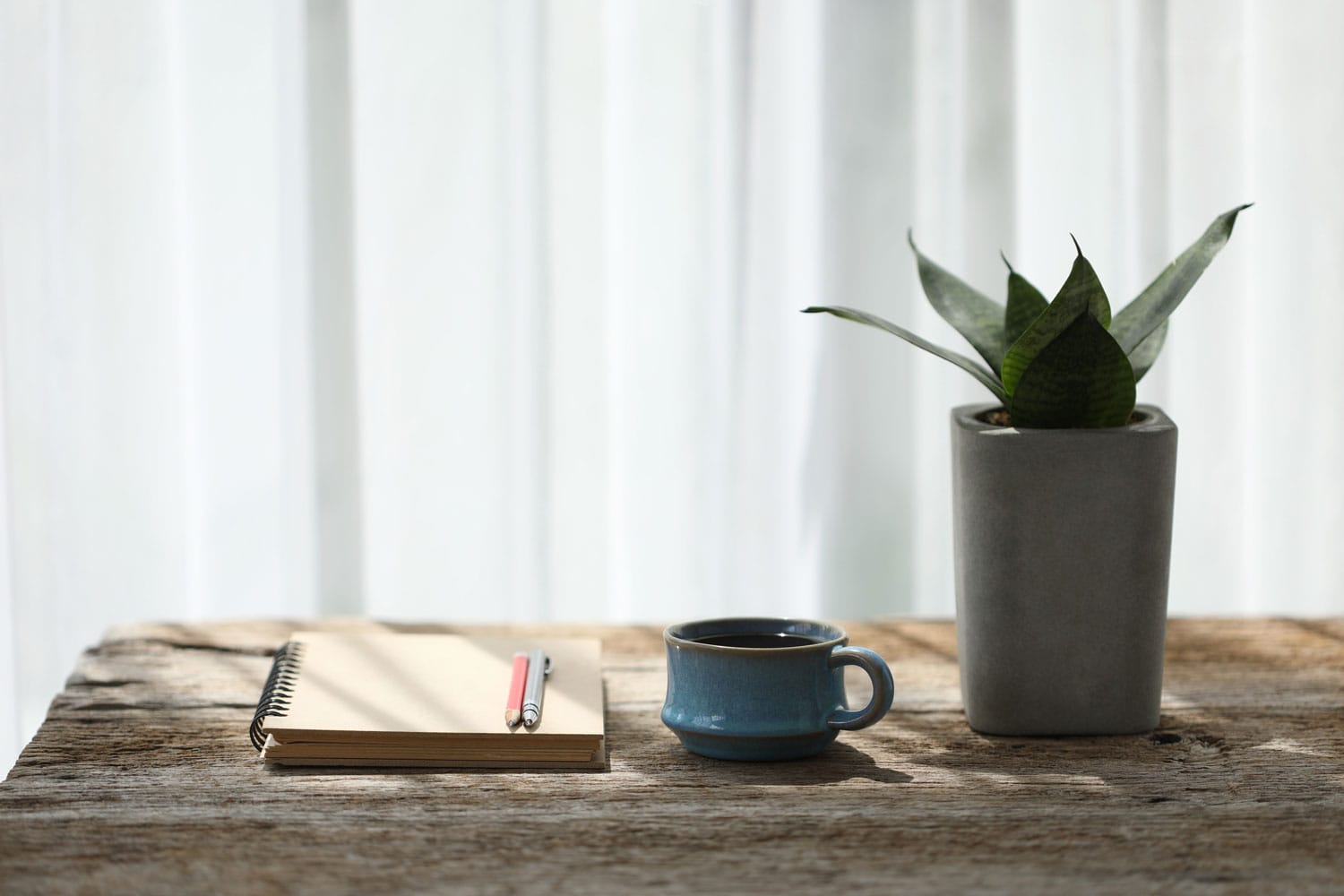 clay blue tea cup and brown notebook and pencil with snake plant on wooden table