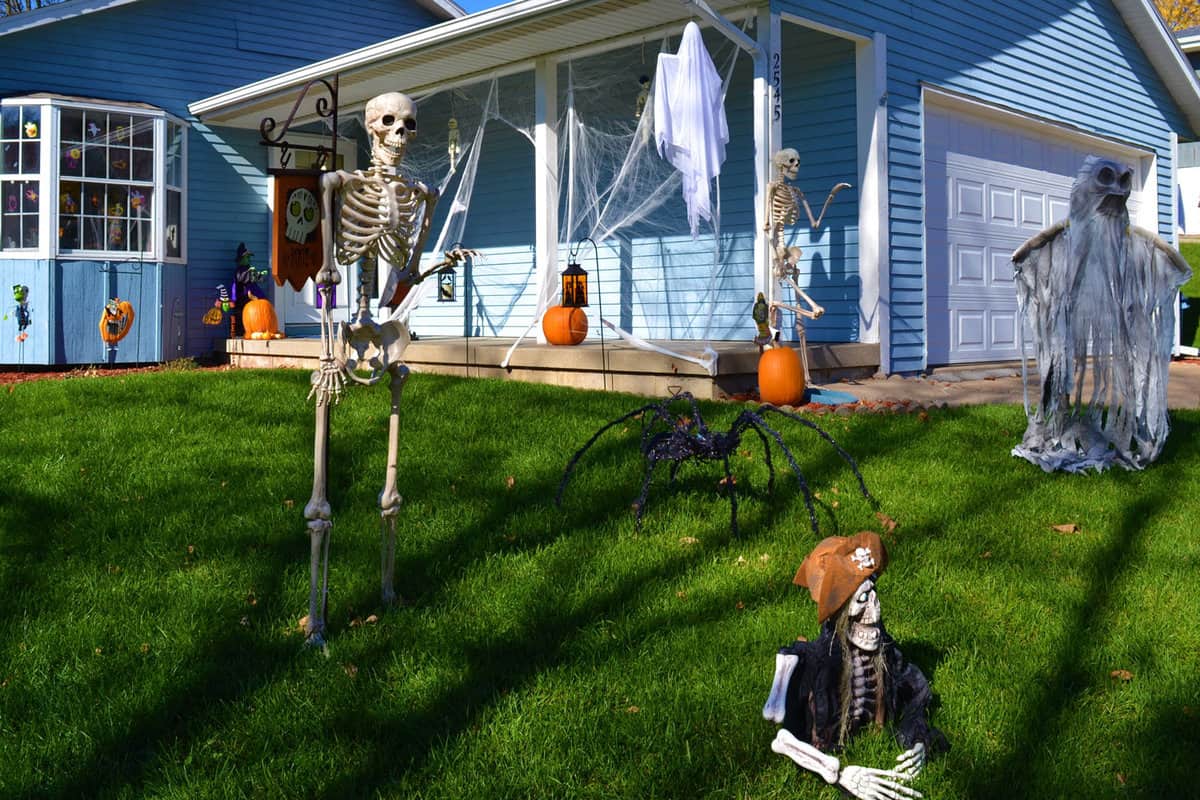 A skeleton and pumpkins decorated in the garden 
