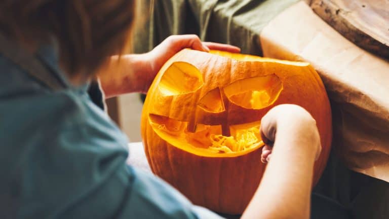 A kid carving a pumpkin, The Art of Pumpkin Carving: A Step-by-Step Guide - 1600x900