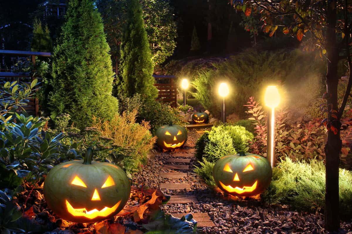 A gorgeous garden filled with Halloween decors and other Halloween decors 