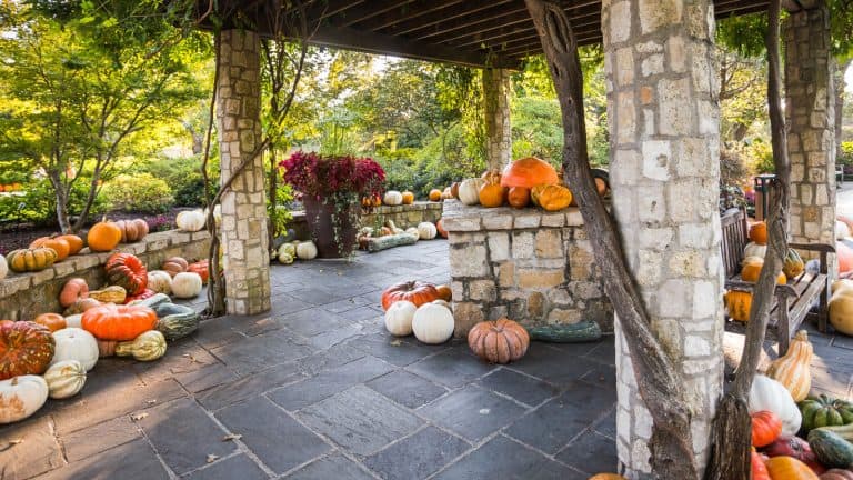 A patio filled with lots of pumpkin achieving a Halloween themed garden, How to Make a Spooky Halloween Wreath with Garden Materials - 1600x900