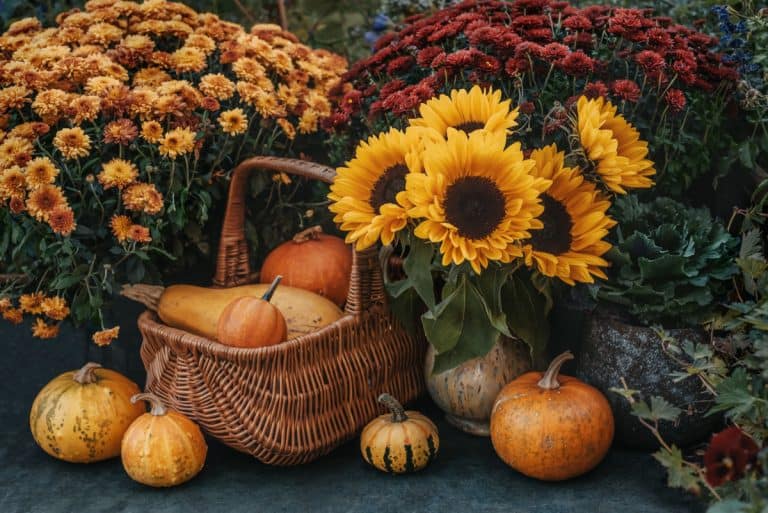 Thanksgiving garden decor with pumpkins, sunflowers