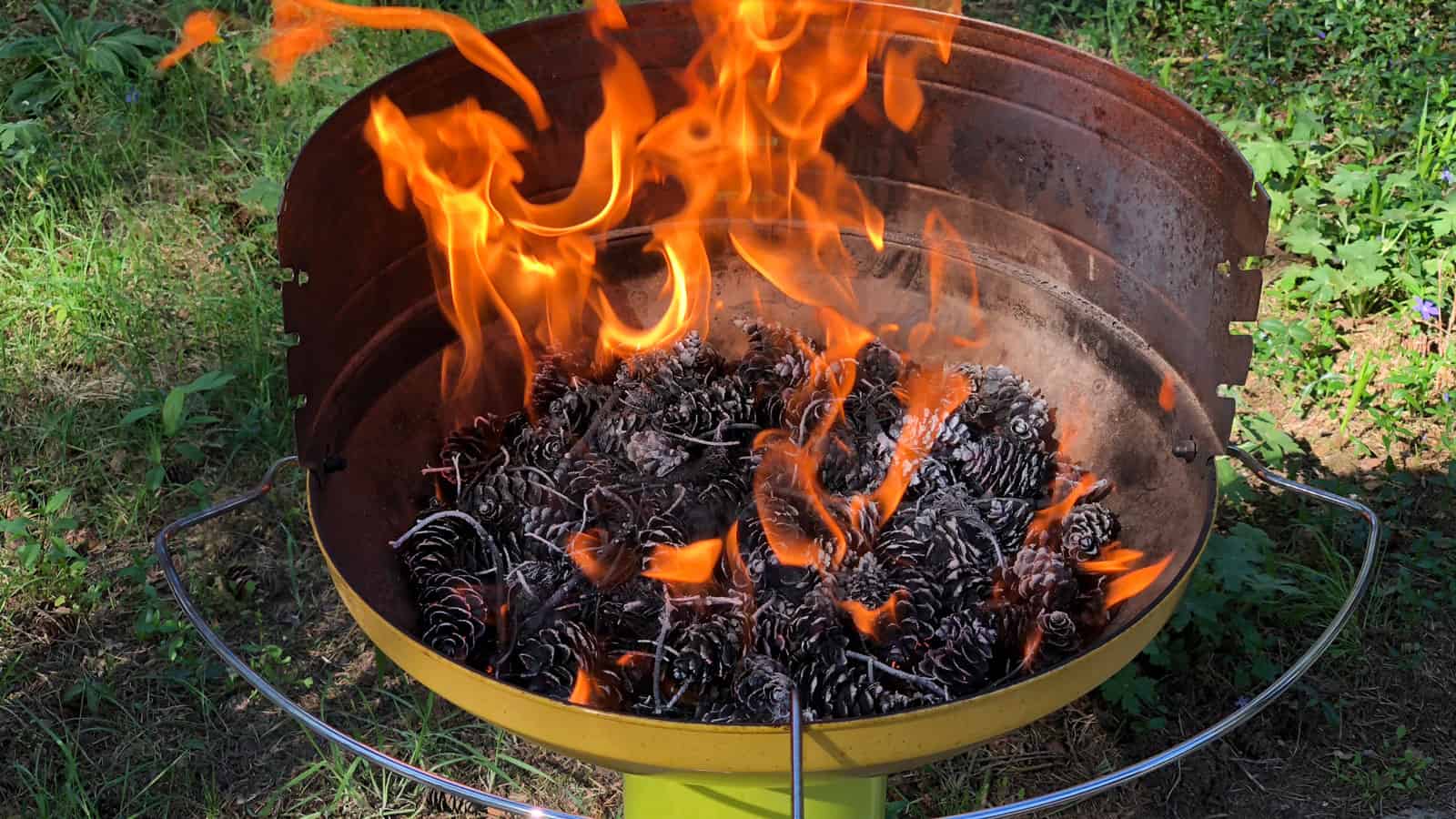 Starting a fire using dry pine cones