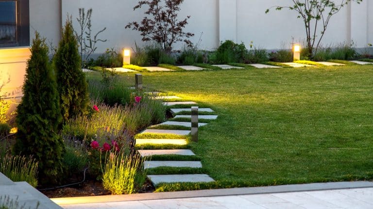 A gorgeous modern landscaping of the garden, Lighting Up Your Garden: Holiday Light Options - 1600x900