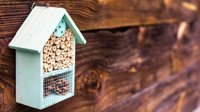 A DIY bee hotel mounted on the side of the house, Christmas Shopping Guide: For the Sustainable Gardener - 1600x900