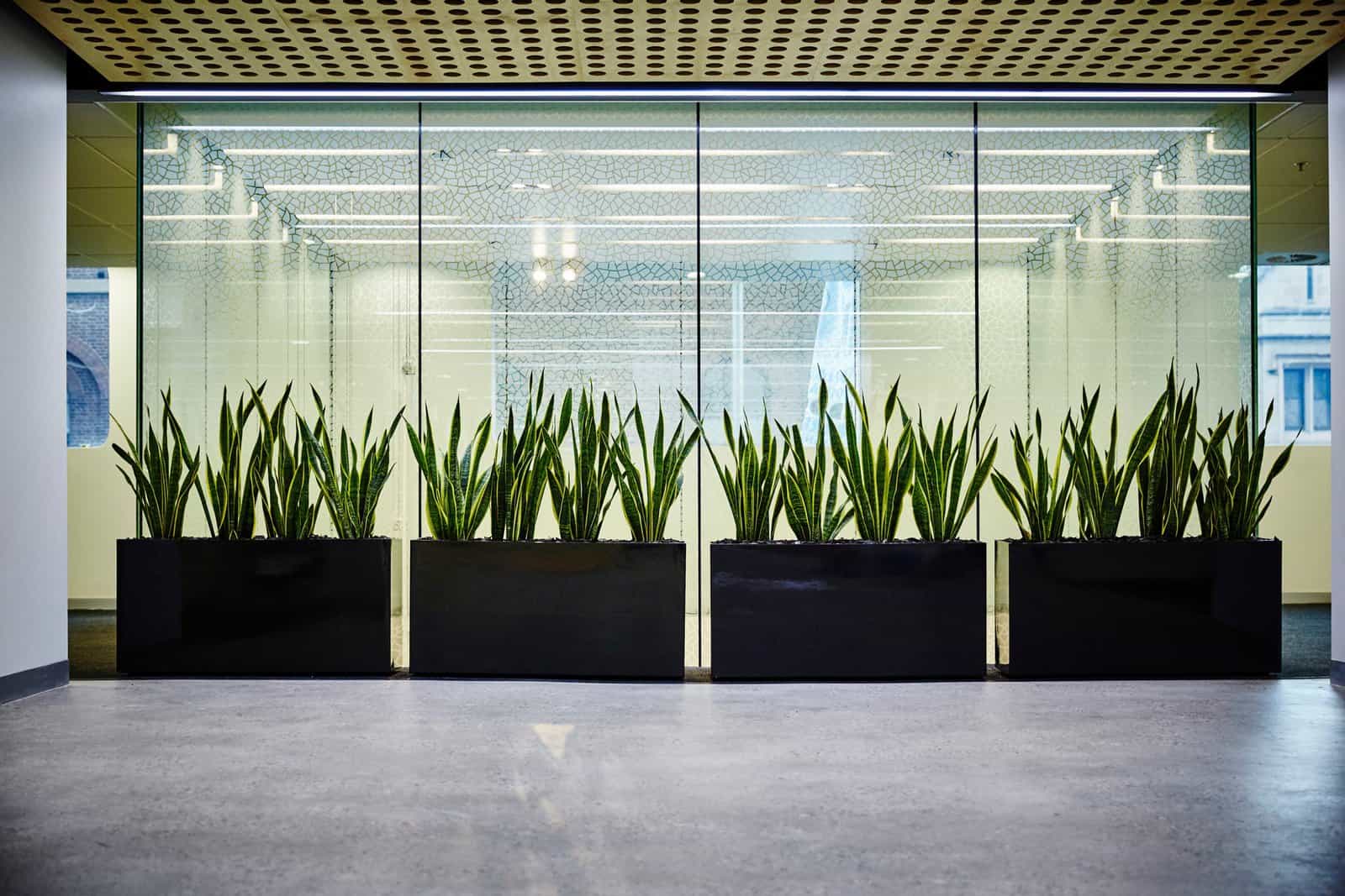 Interior photography of corporate office entrance lobby with a laser cut timber detail on ceiling