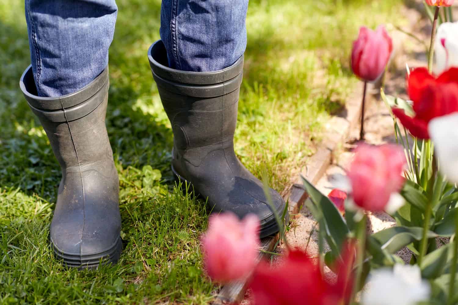 Gardener wearing gardening boots 