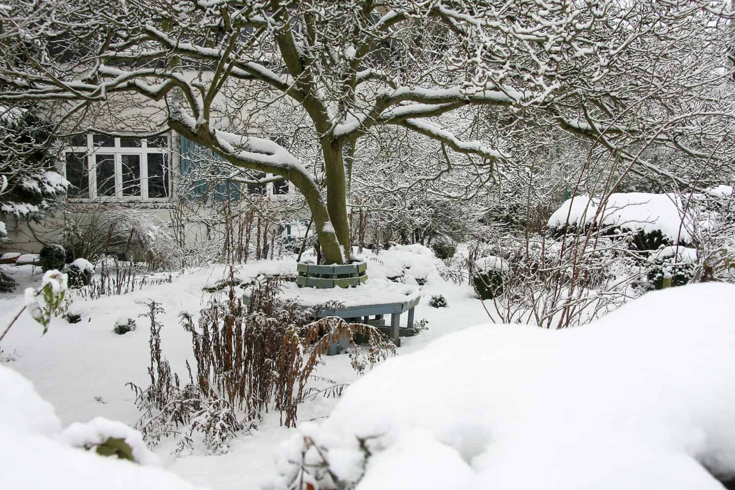 A garden covered in snow 