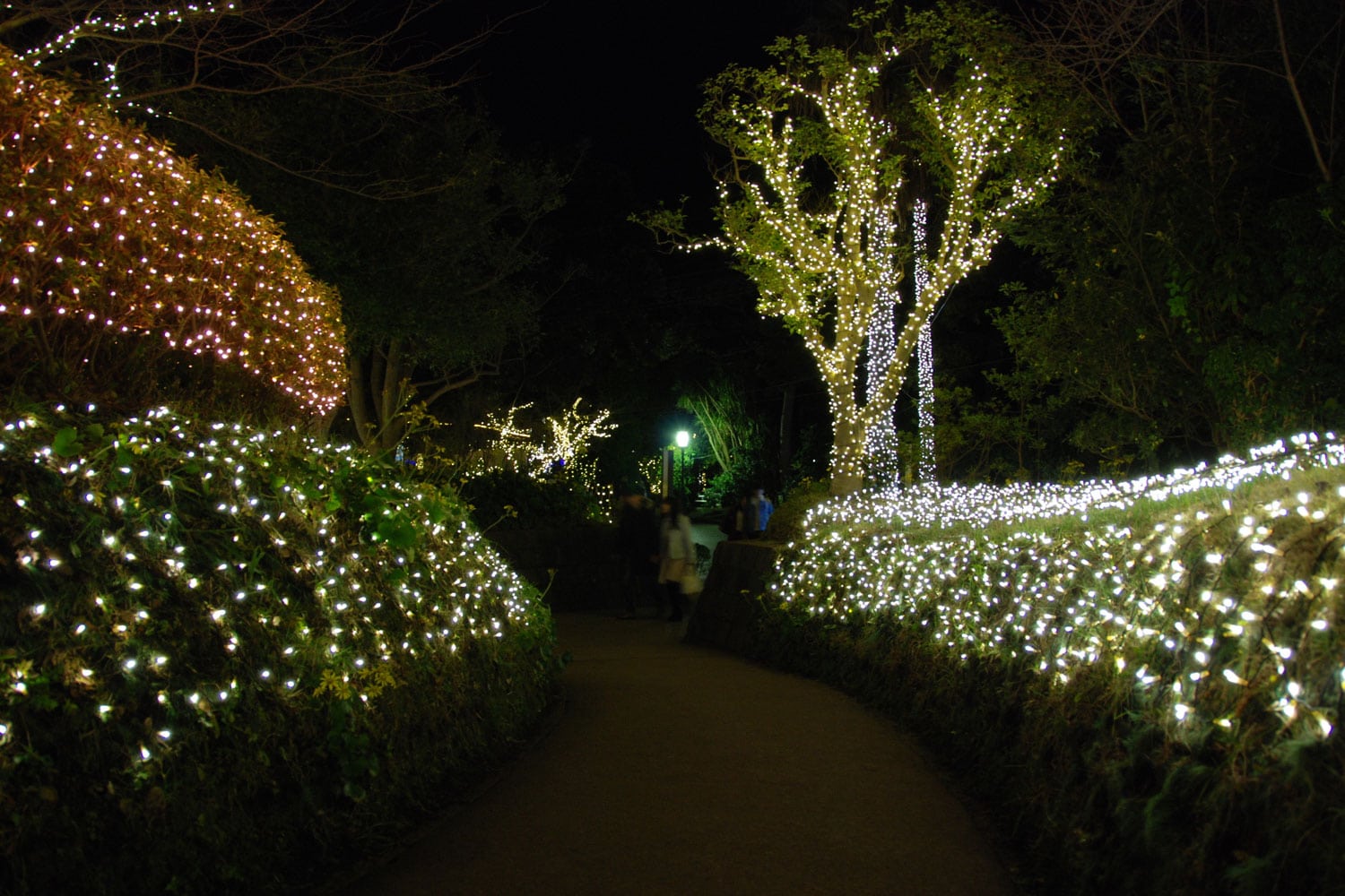 Winter Illuminations light festival in Kamakura, Enoshima island