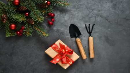 Garden tools, shovel and rake, gift box and fir tree branch with decorations on a gray background.