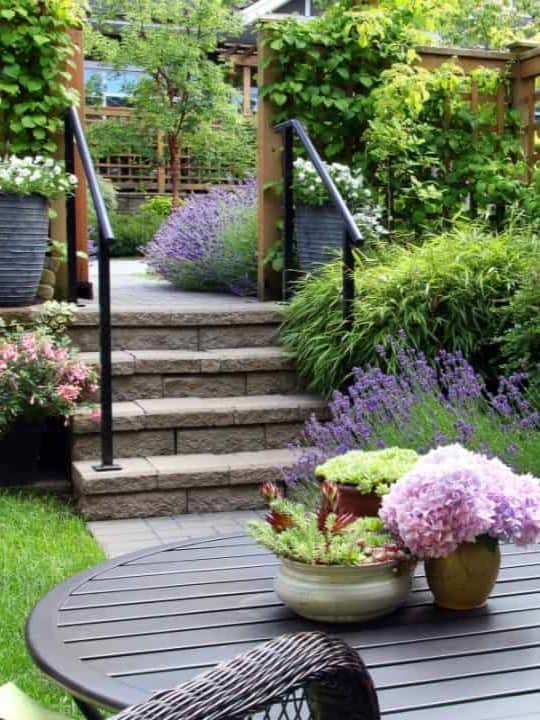 A cozy backyard garden with concrete steps surrounded by lush plants and blooms, leading to a pergola, with a close-up of a round table foreground featuring potted flowers, creating a sense of "Paving for Intimacy" ar 3:4