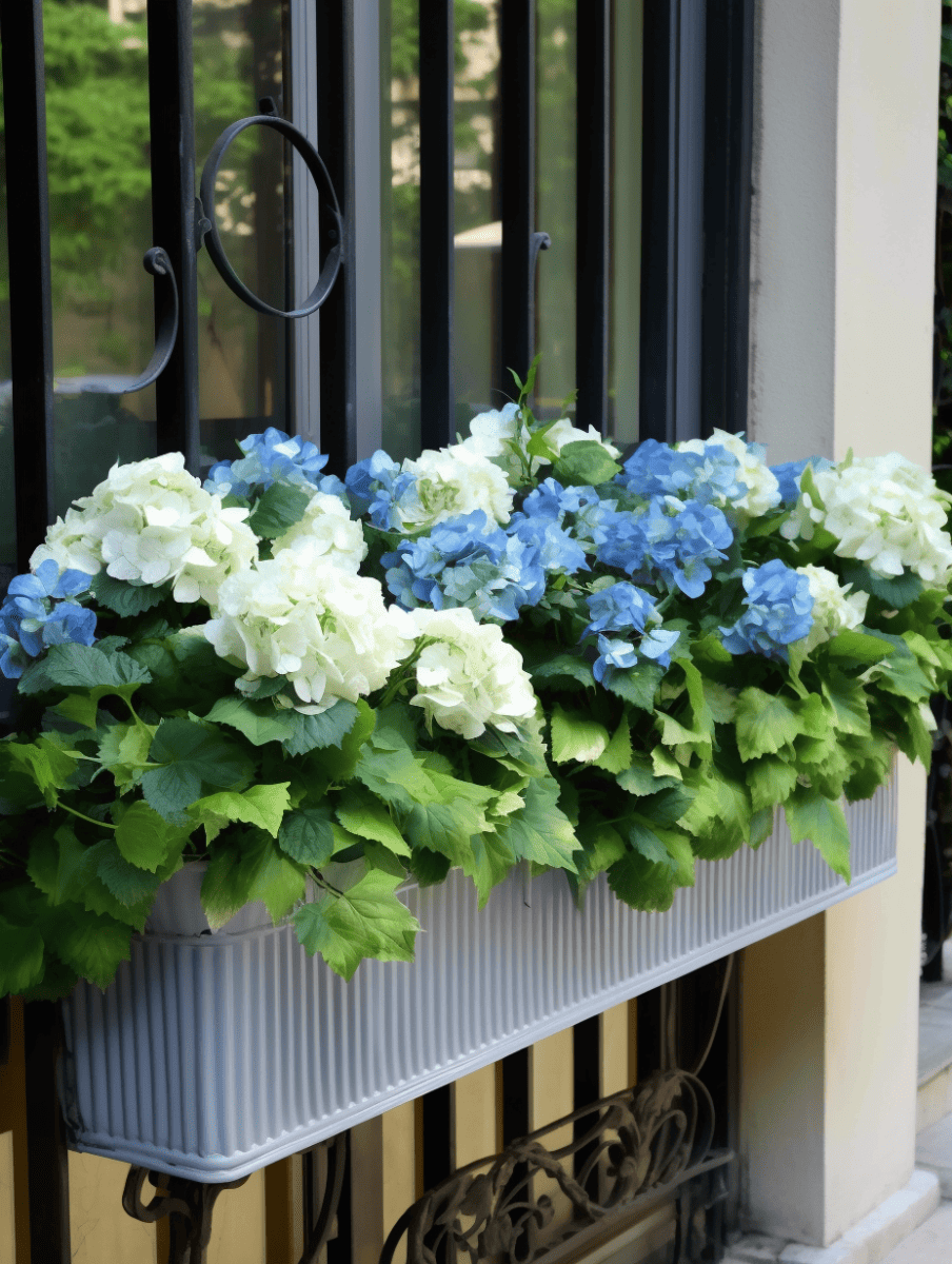 A rectangular planter box filled with lush hydrangea flowers, featuring a mix of vivid blue and creamy white blooms, is mounted on a black wrought iron window guardrail outside a window with reflective glass ar 3:4
