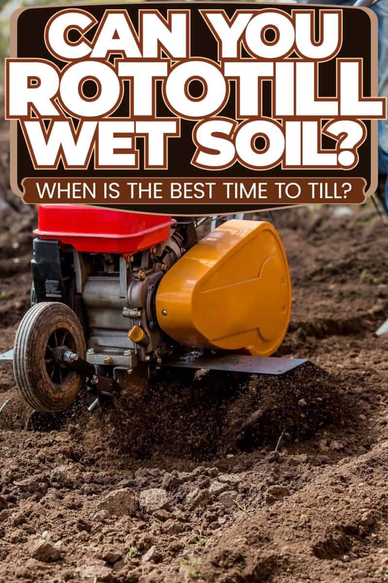 Can You Rototill Wet Soil [When Is The Best Time To Till]