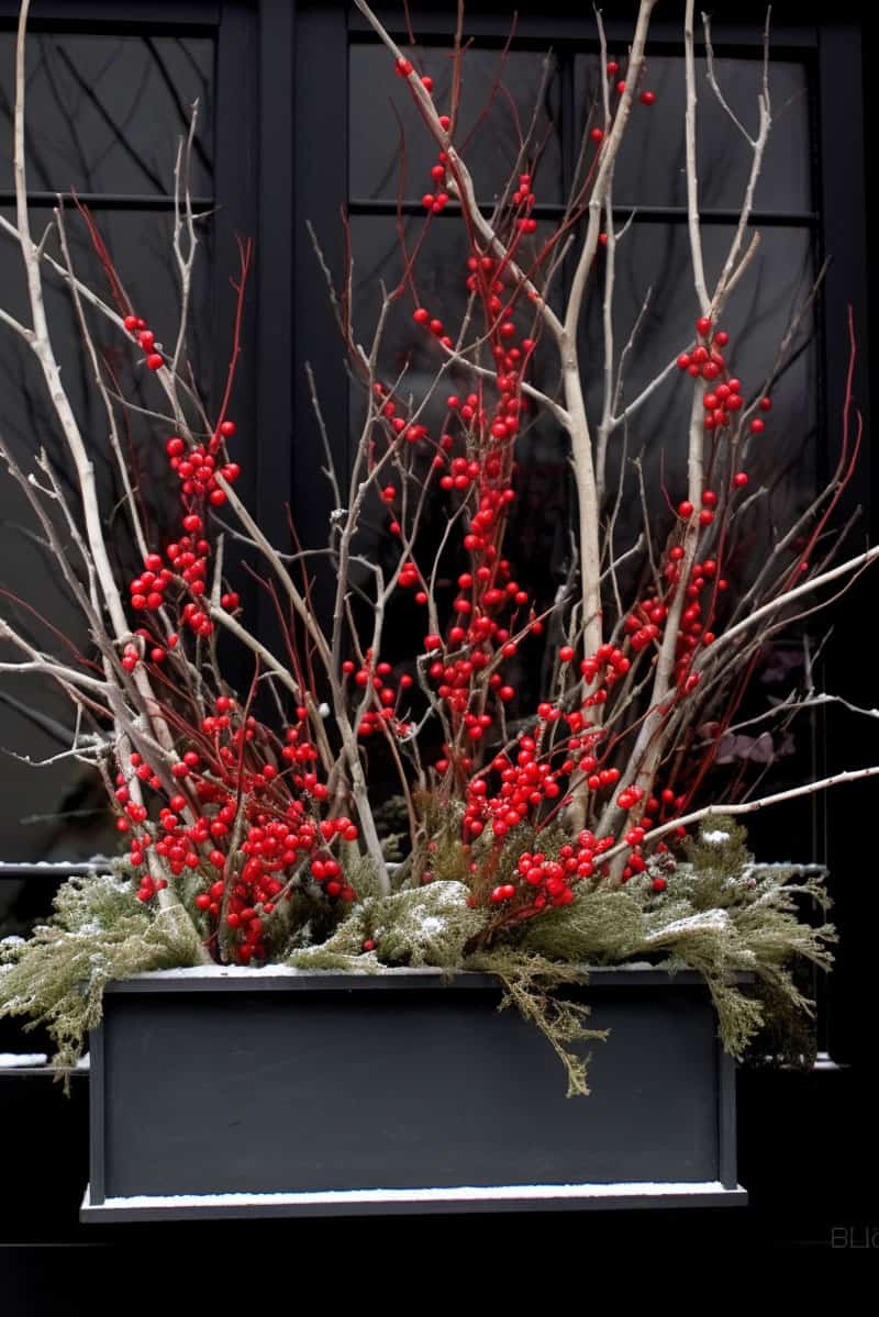 Berries and twigs used for Christmas decors