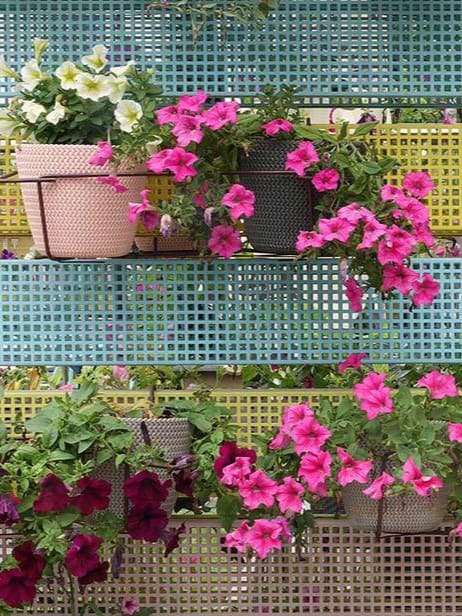 Hanging on a perforated metal screen, three rectangular planters—two in soft pink and one in black—overflow with petunias, showcasing a cascade of white, bright pink, and deep purple blossoms amid verdant greenery ar 3:4