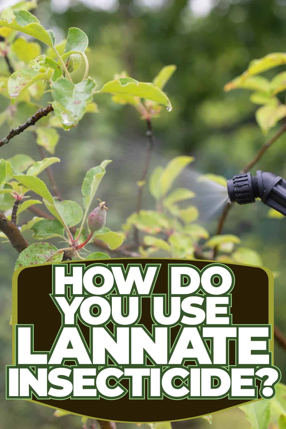 How Do You Use Lannate Insecticide?