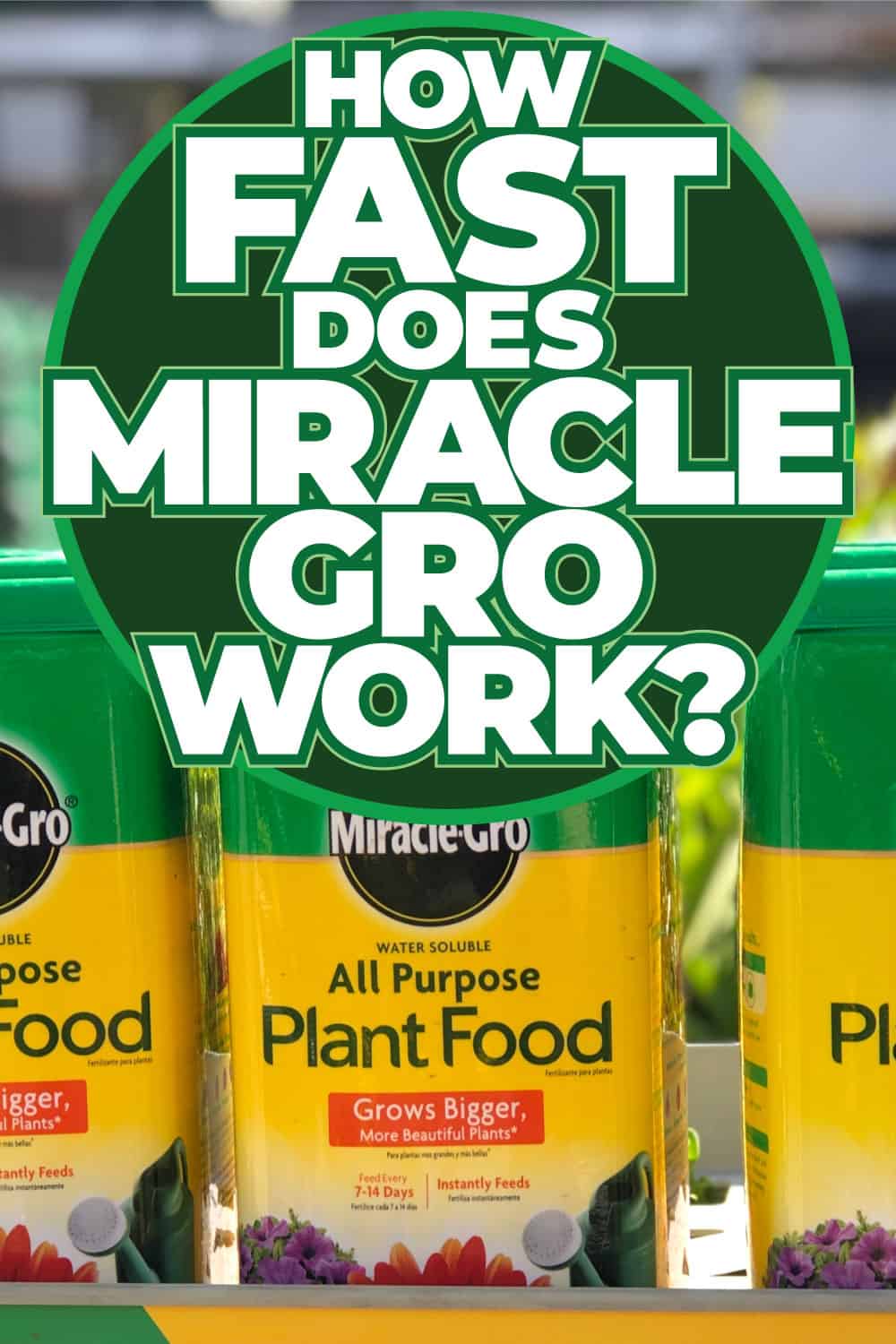 How Fast Does Miracle-Gro Work?