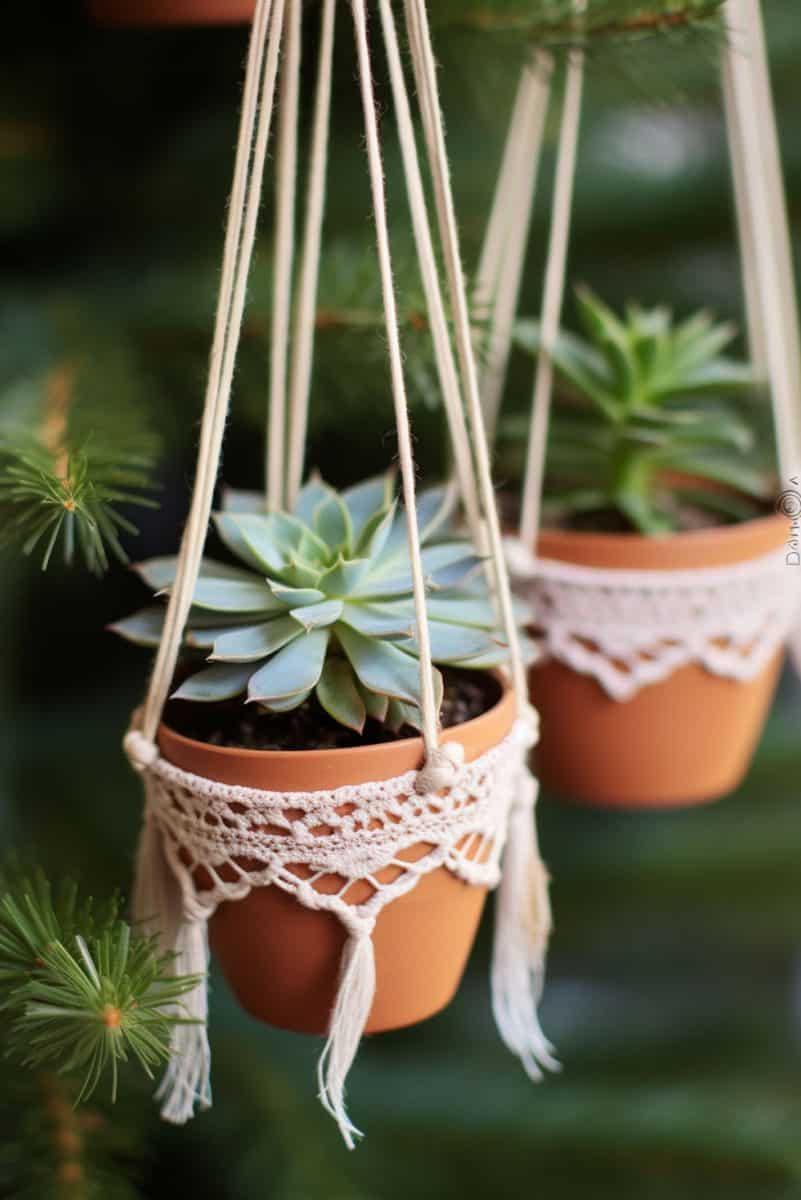 Succulents decorated as macramé charmers