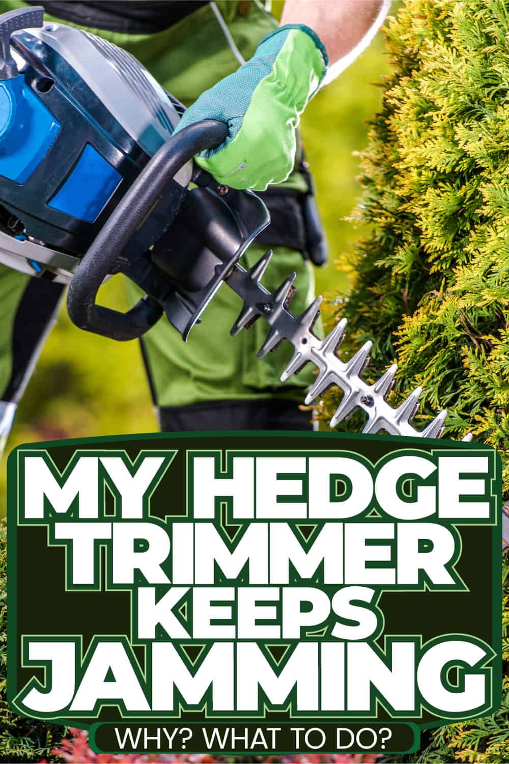 My Hedge Trimmer Keeps Jamming - Why? What To Do?