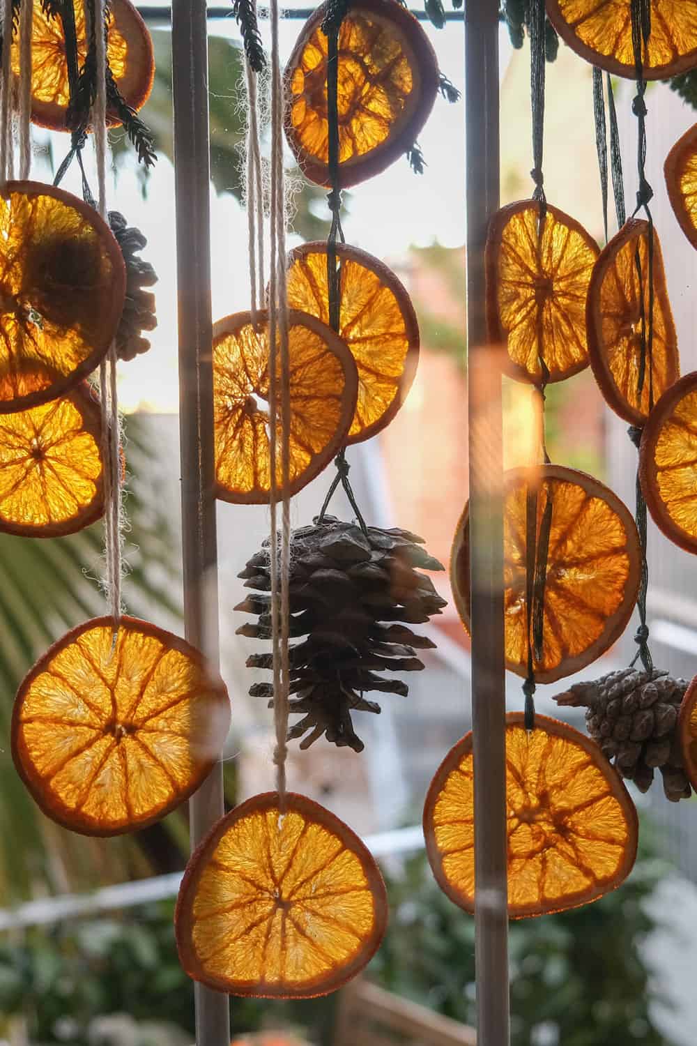 Gorgeous pinecones mixture of citrus 
