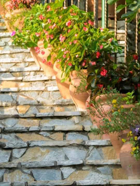 Sunlit stone steps ascend in a gentle curve, lined with large terracotta pots that host flourishing pink flowering plants, creating a warm and inviting stairway in a garden setting ar 3:4