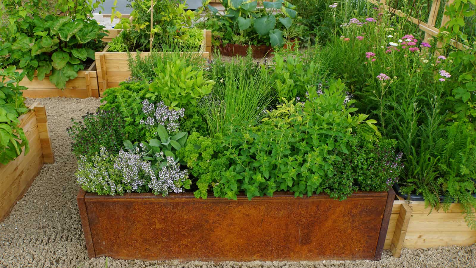 A planter box filled with herbs