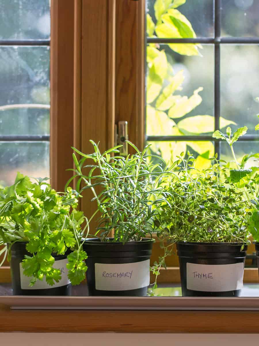 labeled herbs placed on the window sill