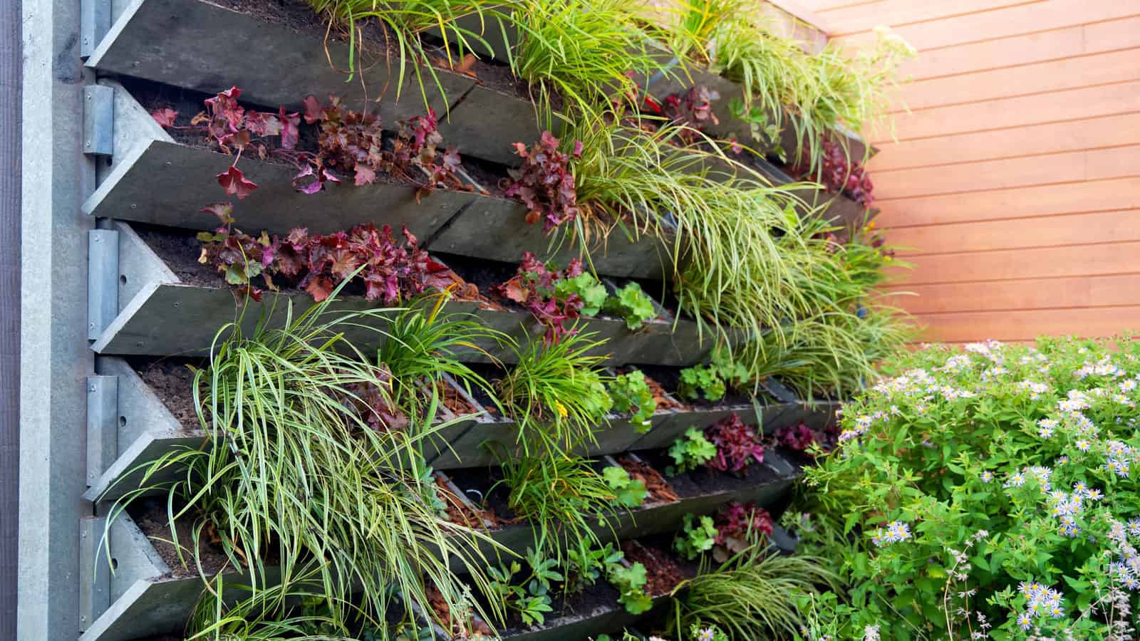 A trellis designed sustainable garden