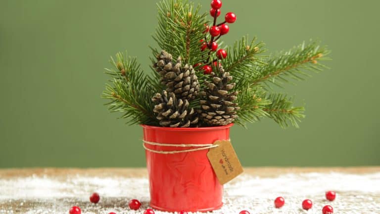 A small red metal vase with pinecone, winterberry and cypress, Pinecone Decor: Nature’s Own Ornaments - 1600x900