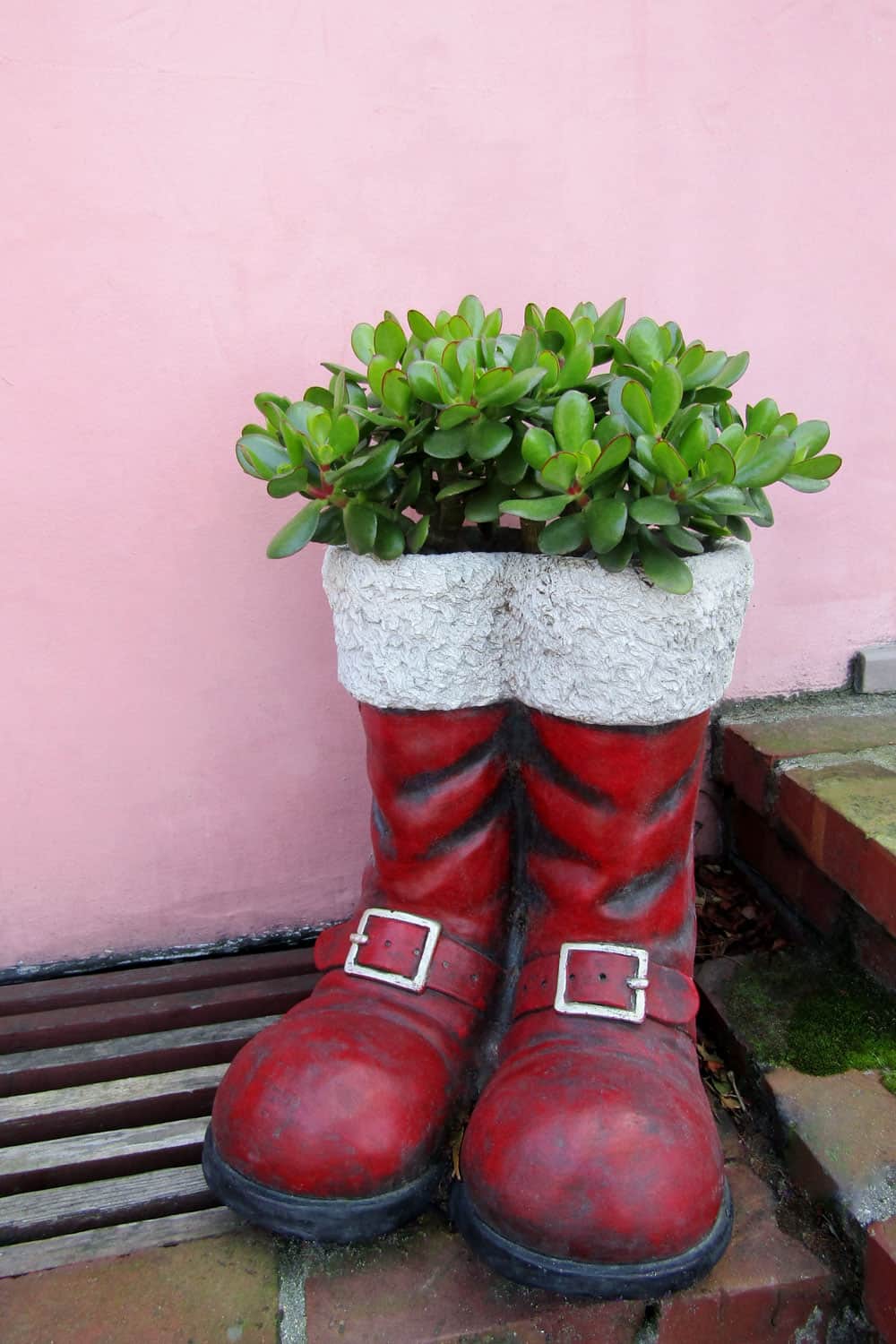 Christmas boots converted to a small vase
