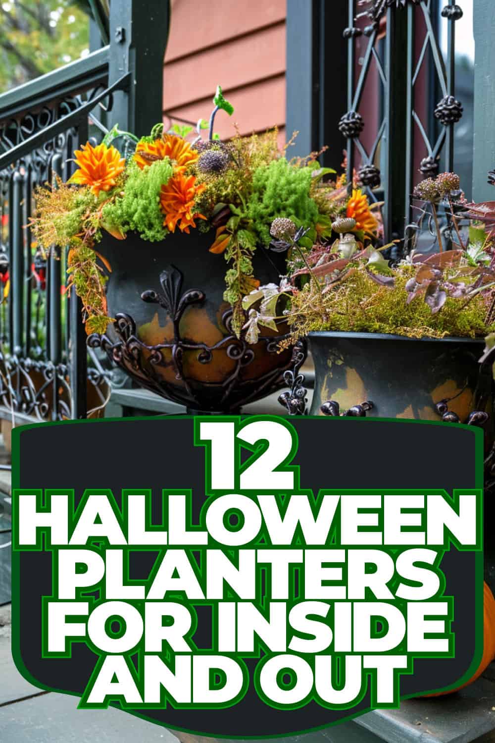 12 Halloween Planters For Inside And Out