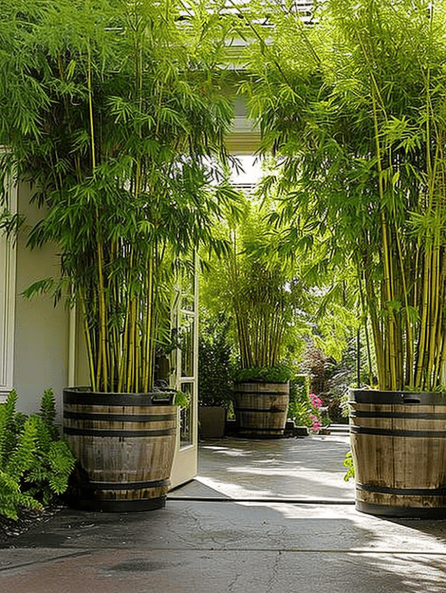 Bamboo plants tower out of rustic barrel planters, lining a pathway and creating a green corridor that leads towards a sunny garden space ar 3:4