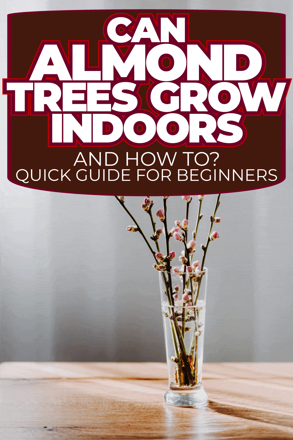 Can Almond Trees Grow Indoors [And How To] (Quick Guide For Beginners)