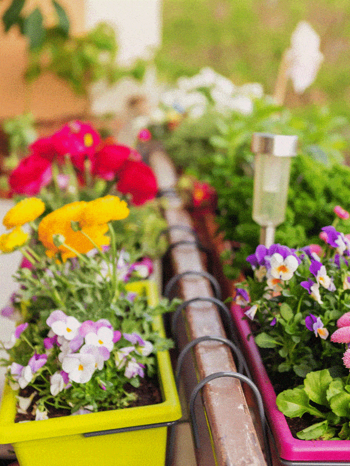 Colorful flowers in pots on the balcony ar 3:4