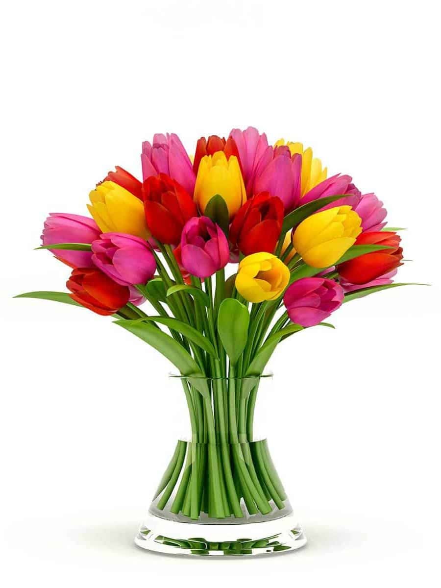 Colorful tulips in a glass vase ar 3:4