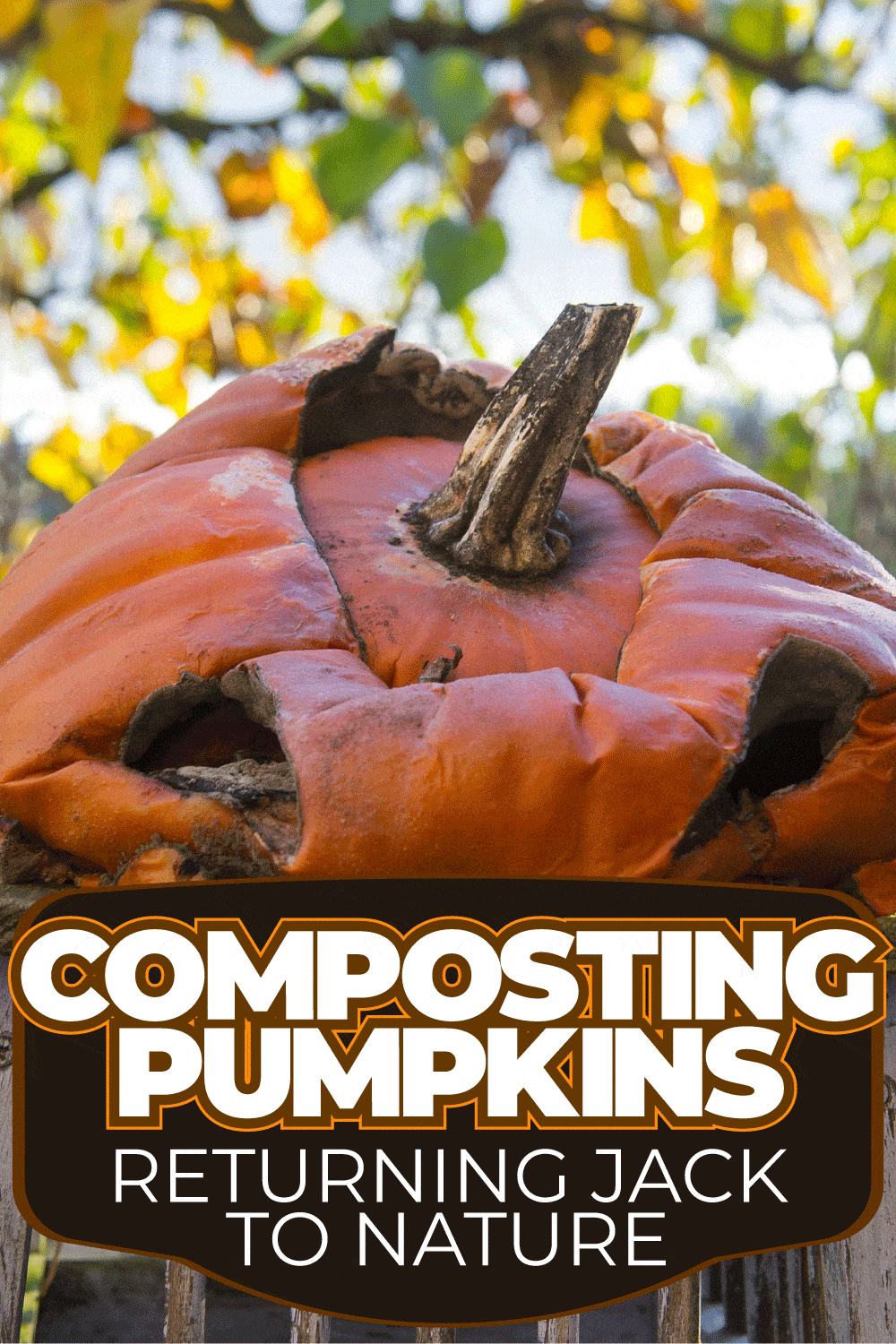 Composting Pumpkins: Returning Jack To Nature