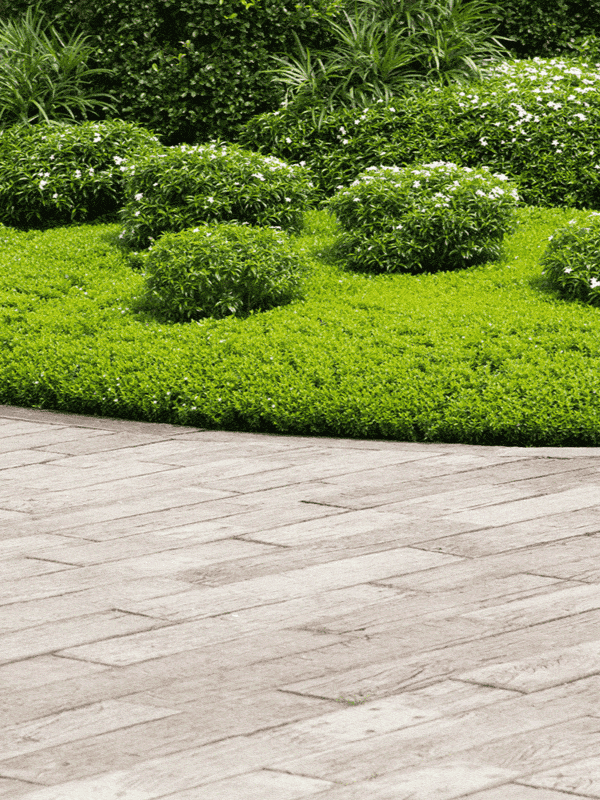 A neatly patterned garden path of large stone tiles is complemented by manicured shrubs and flowering plants, contributing to a well-designed, symmetrical landscape ar 3:4
