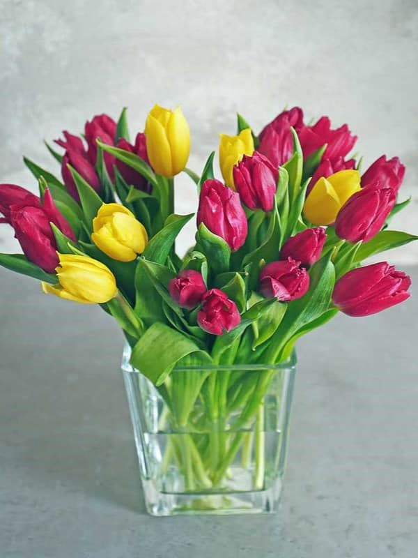 Glass vase with bouquet of beautiful tulips ar 3:4