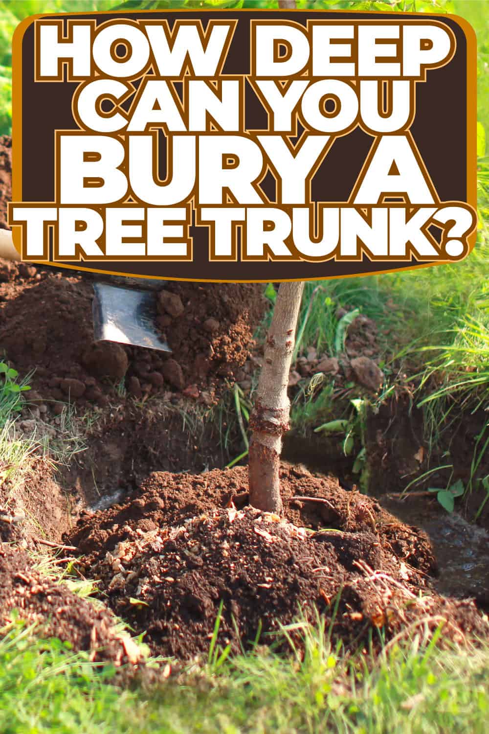 How Deep Can You Bury A Tree Trunk?