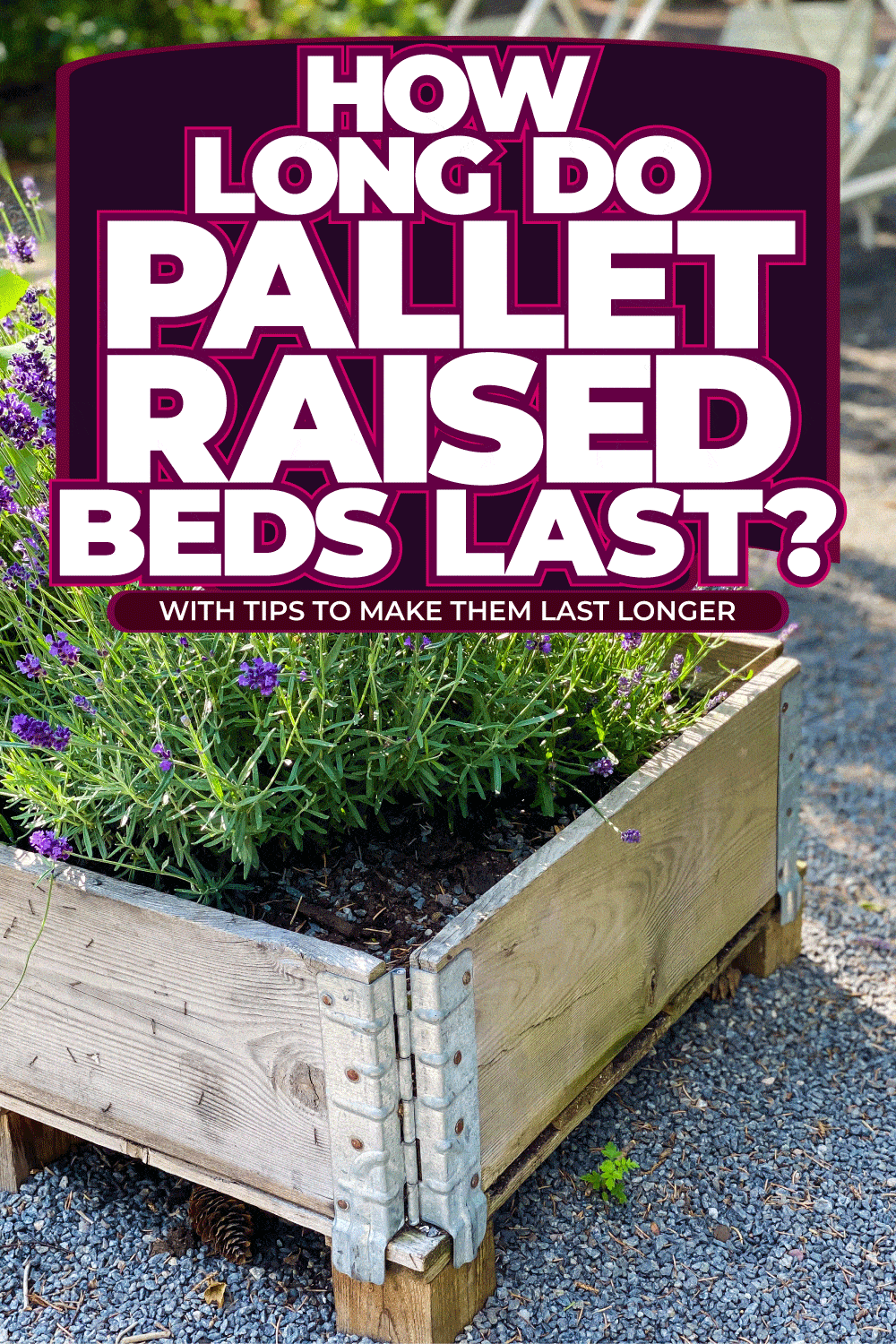 How Long Do Pallet Raised Beds Last? [With Tips To Make Them Last Longer!]