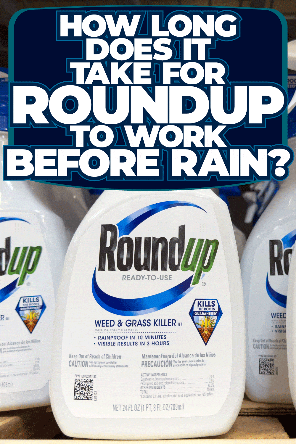 How Long Does It Take For Roundup To Work Before Rain?