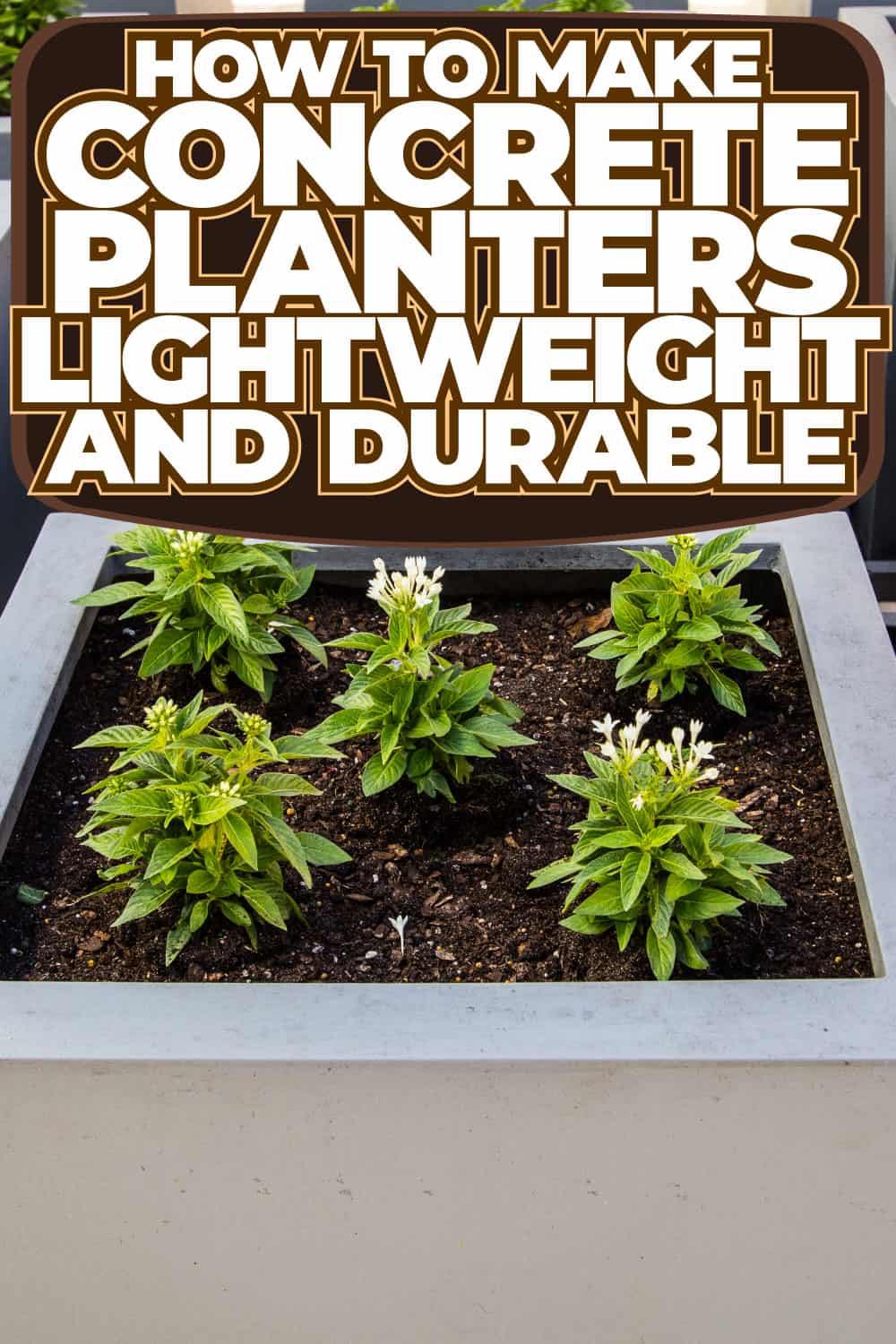 How To Make Concrete Planters Lightweight And Durable