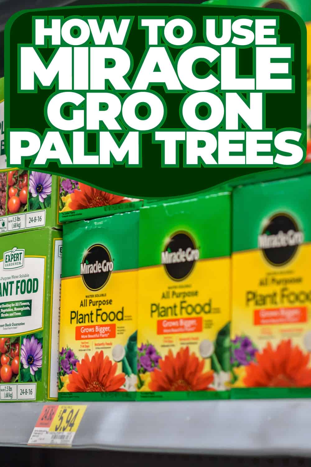 How To Use Miracle-Gro On Palm Trees