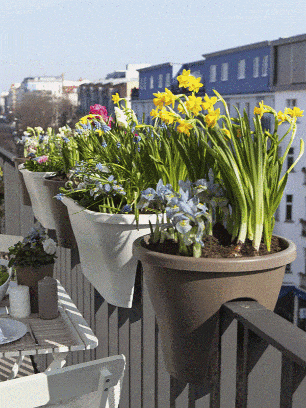 Potted spring flowers on a sunny balcony ar 3:4