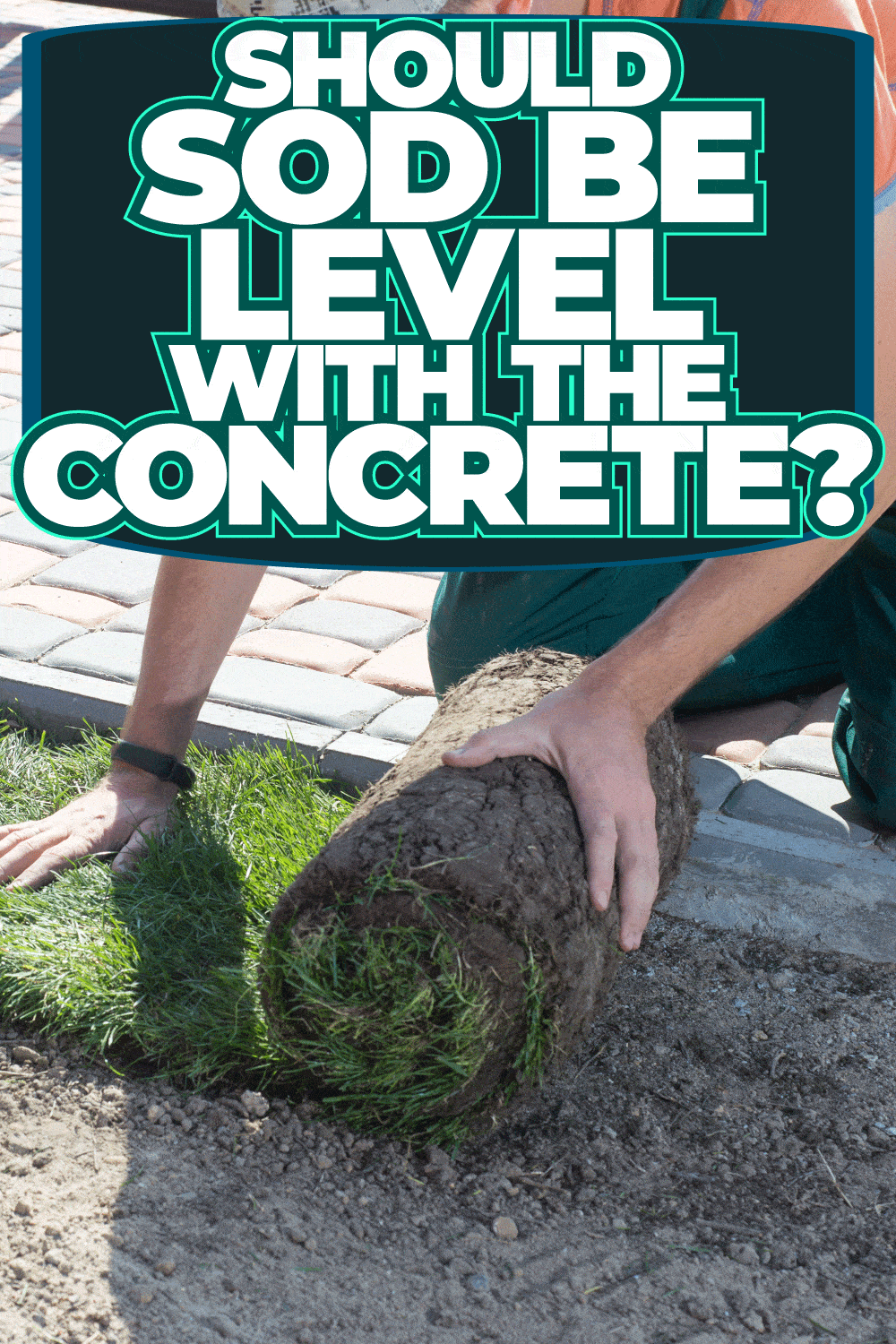 Should Sod Be Level With The Concrete?