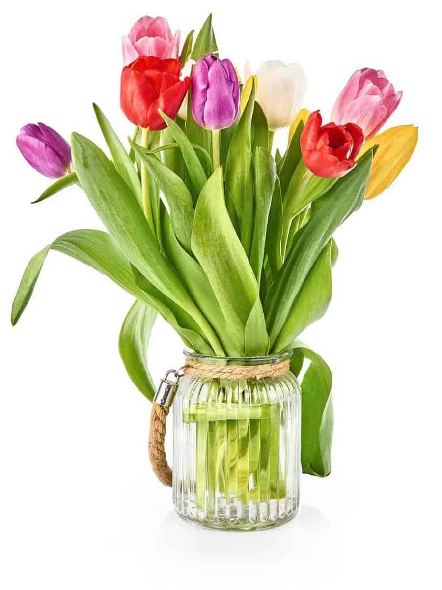 Spring tulips flowers bouquet ar 3:4