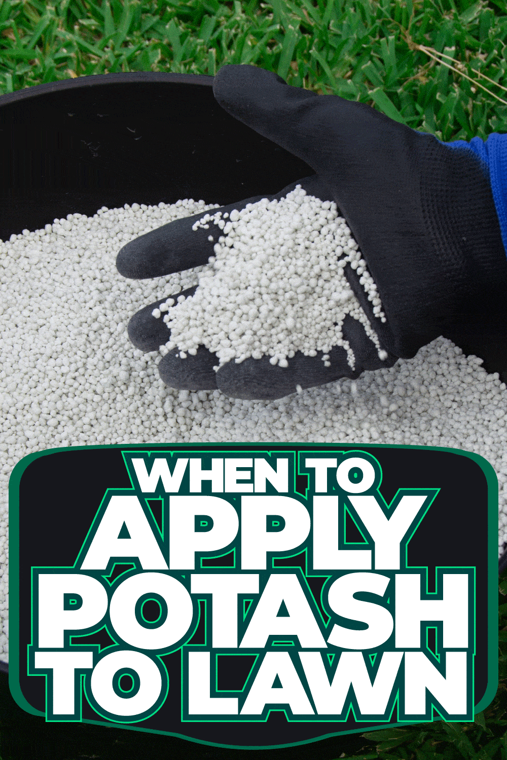 When To Apply Potash To Lawn [And How To]