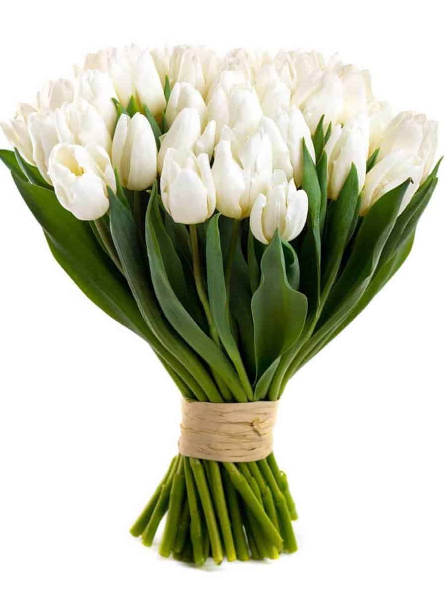 White tulip bouquet ar 3:4